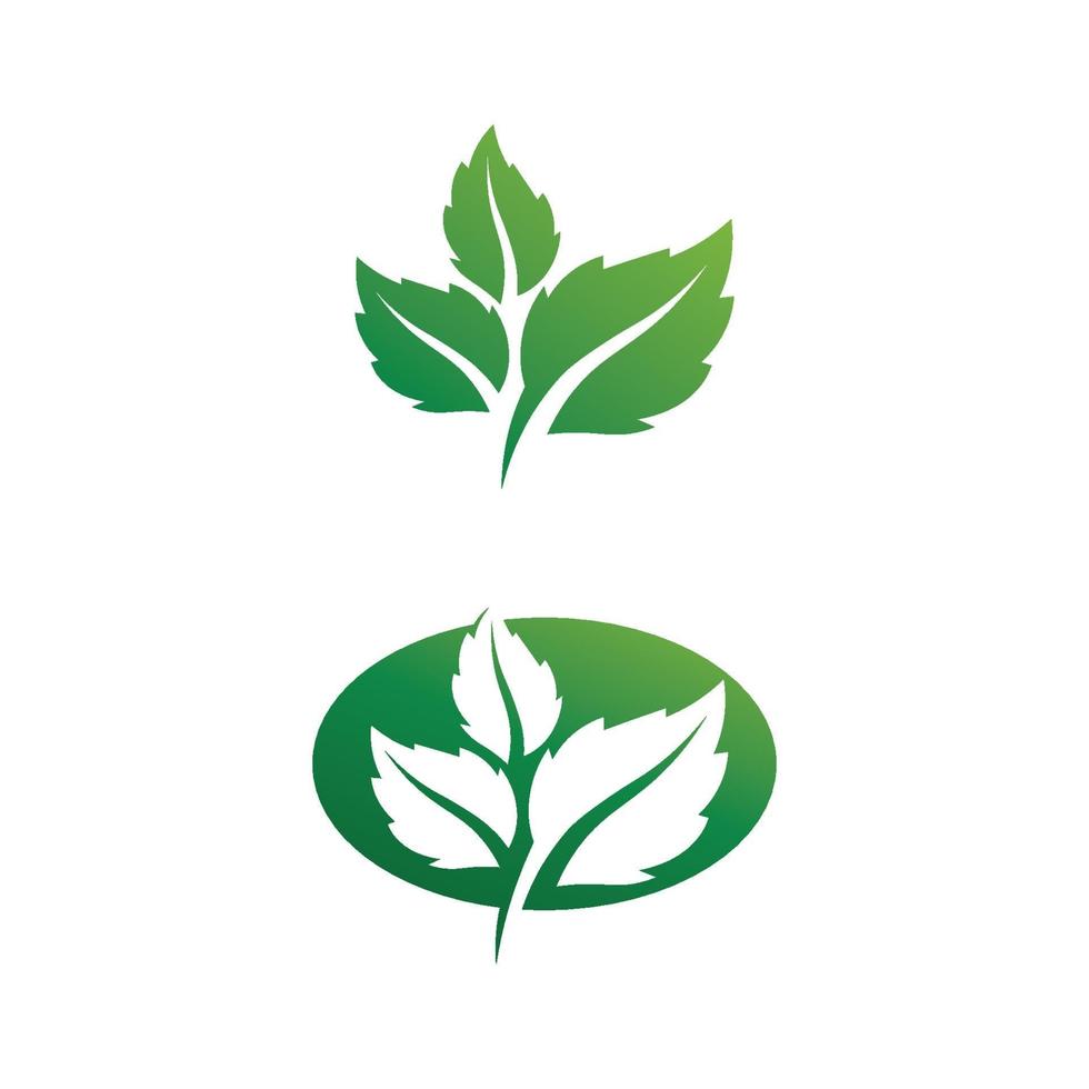 logotipos de diseño de ecología de hoja de árbol verde logotipo de naturaleza vector
