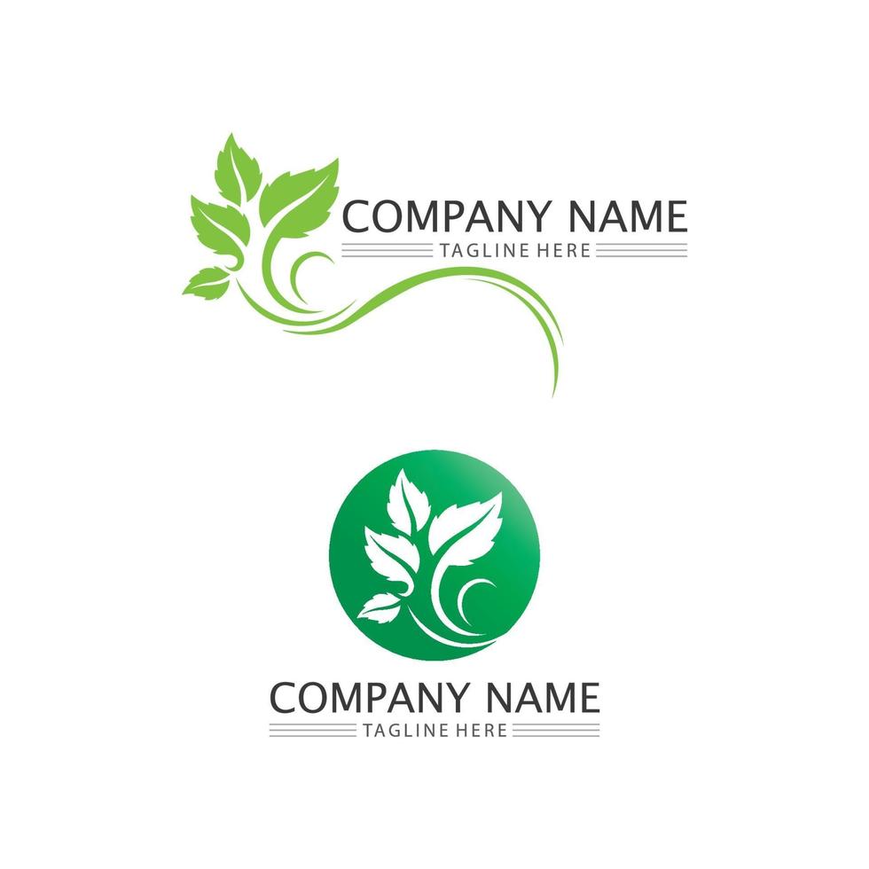 logotipos de diseño de ecología de hoja de árbol verde logotipo de naturaleza vector