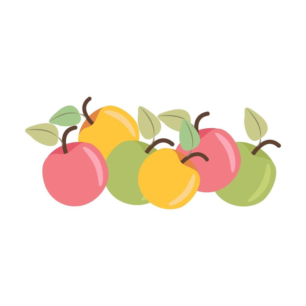 Bunch of colored apples, autumn harvest. Illustration vector