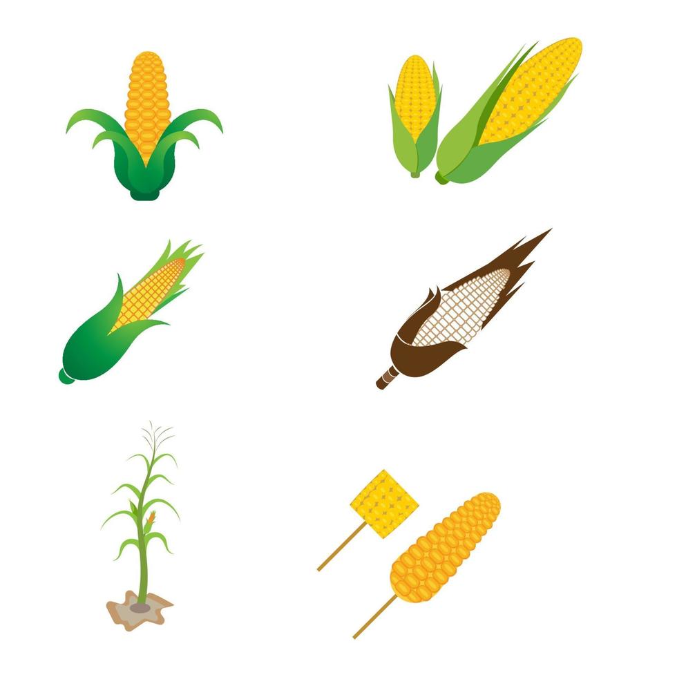 diseño de icono de vector de maíz de agricultura