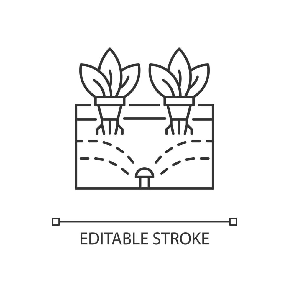 Aeroponics linear icon vector