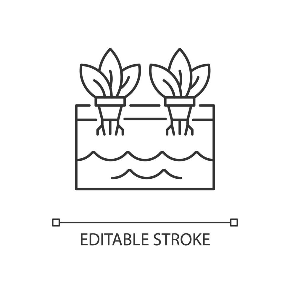 Hydroponics linear icon vector