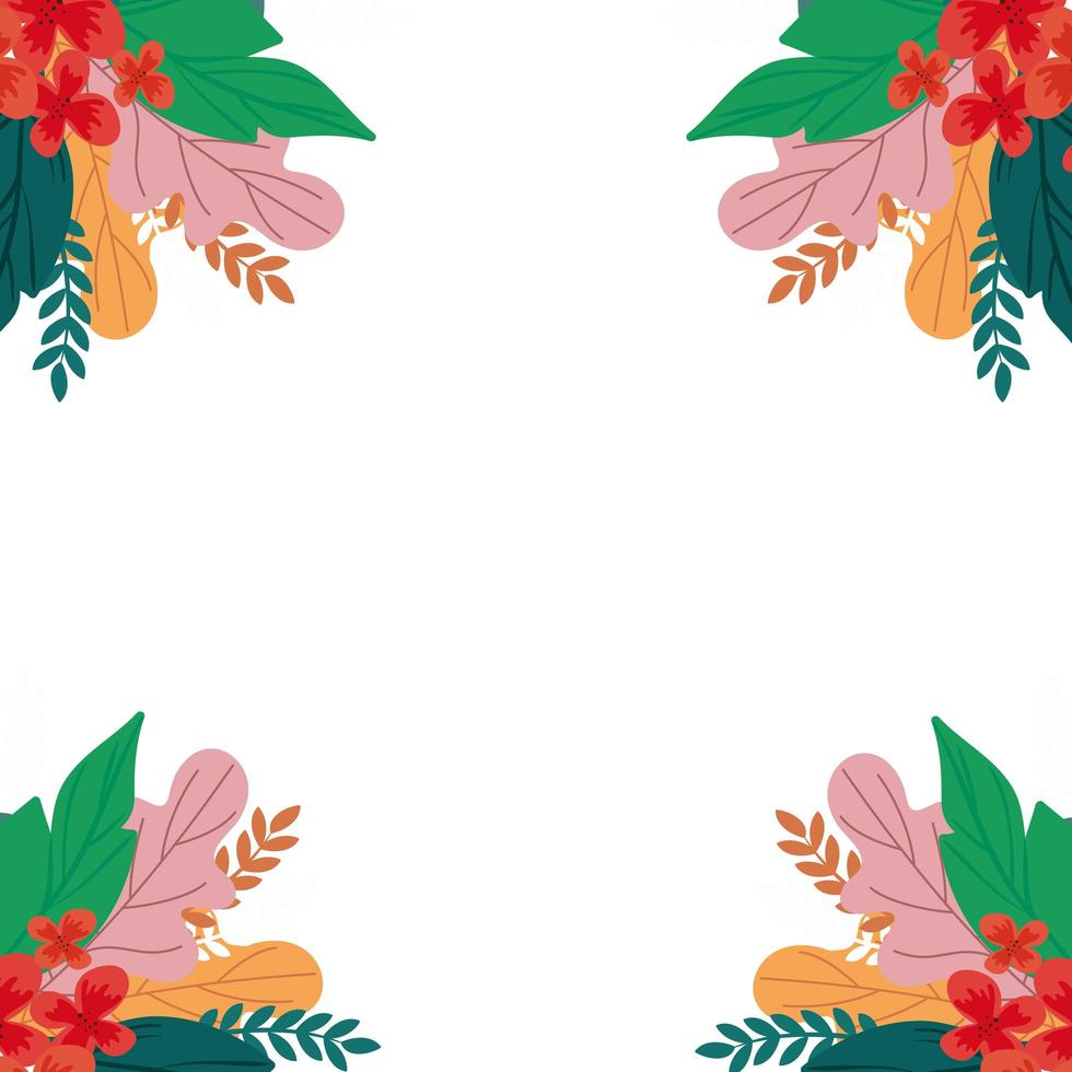 frame of flowers with leafs natural isolated icon vector