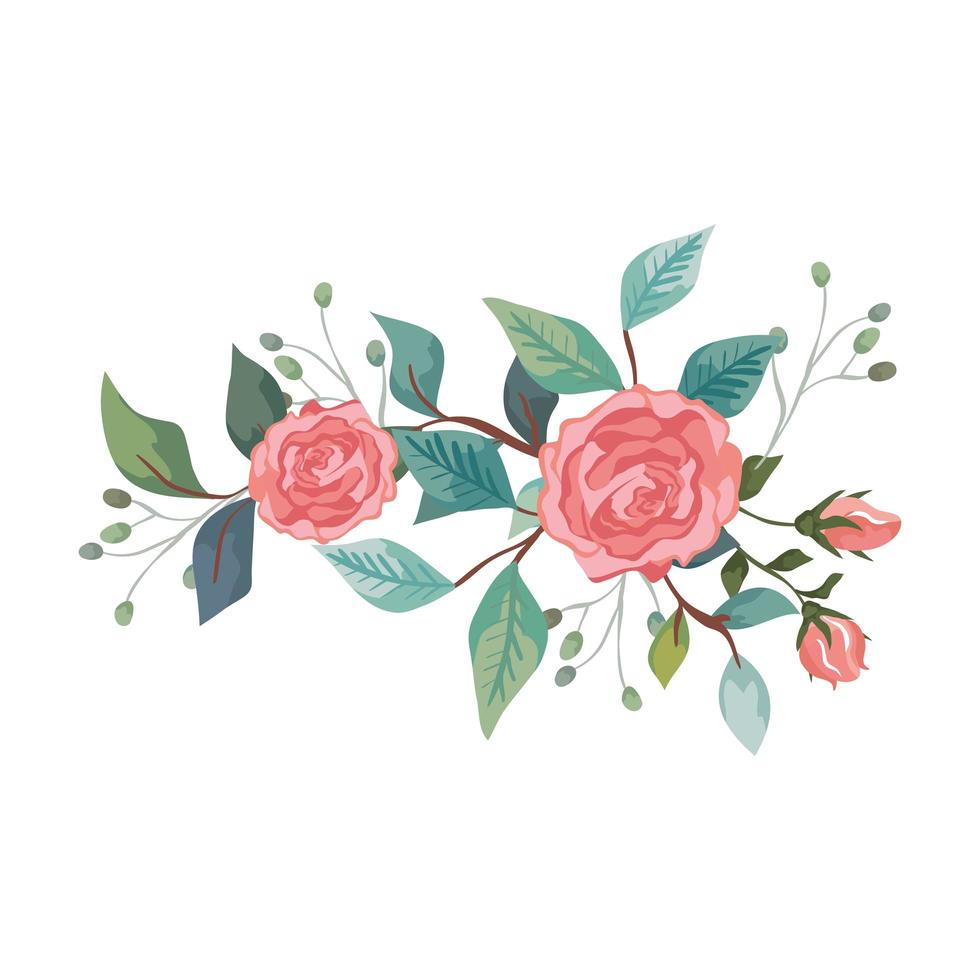cute roses with branches and leafs isolated icon vector