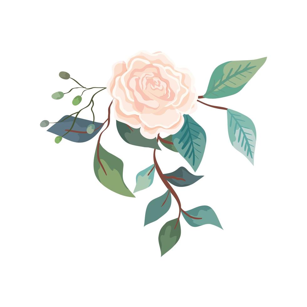 cute rose with branches and leafs isolated icon vector