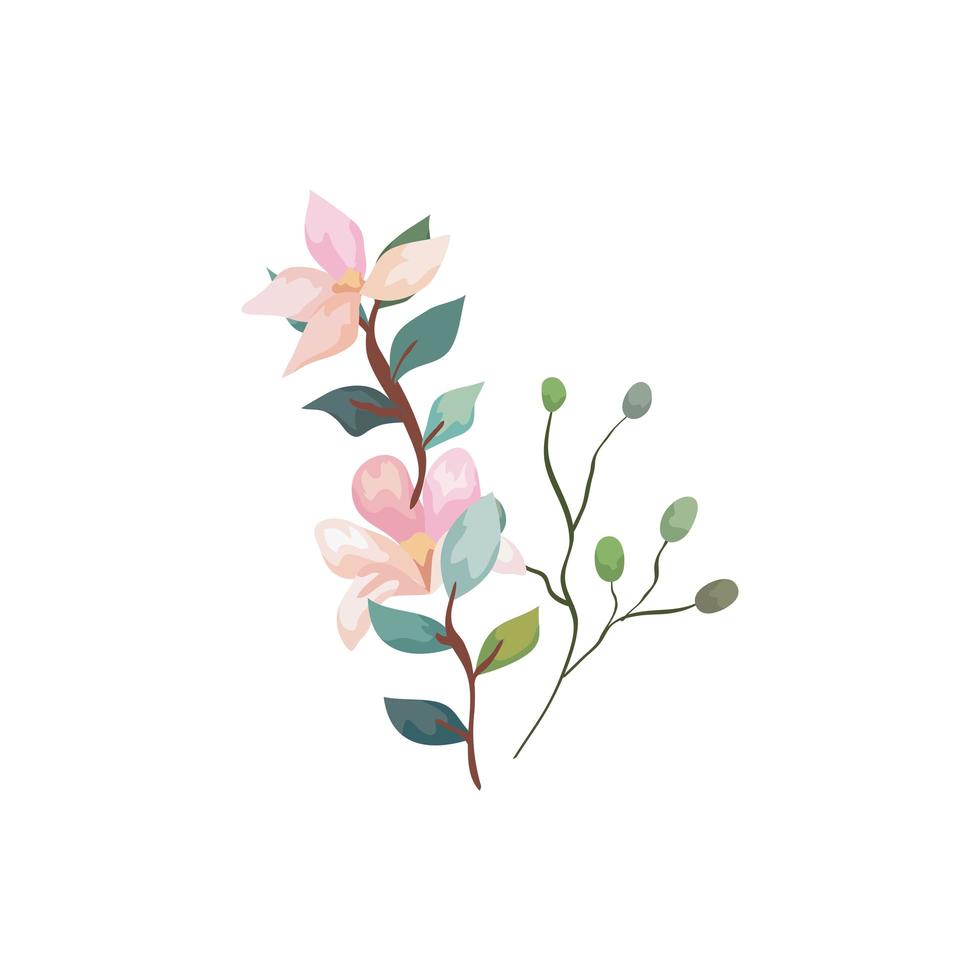 lindas flores con ramas y hojas icono aislado vector