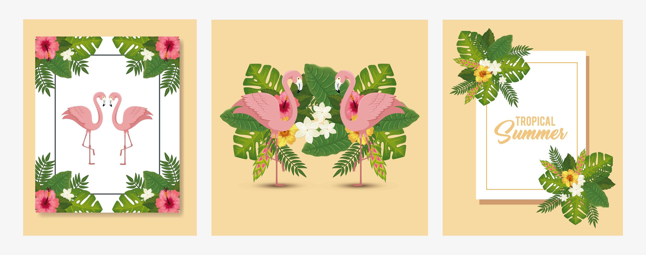 conjunto de cartel de verano tropical con flamencos y hojas vector
