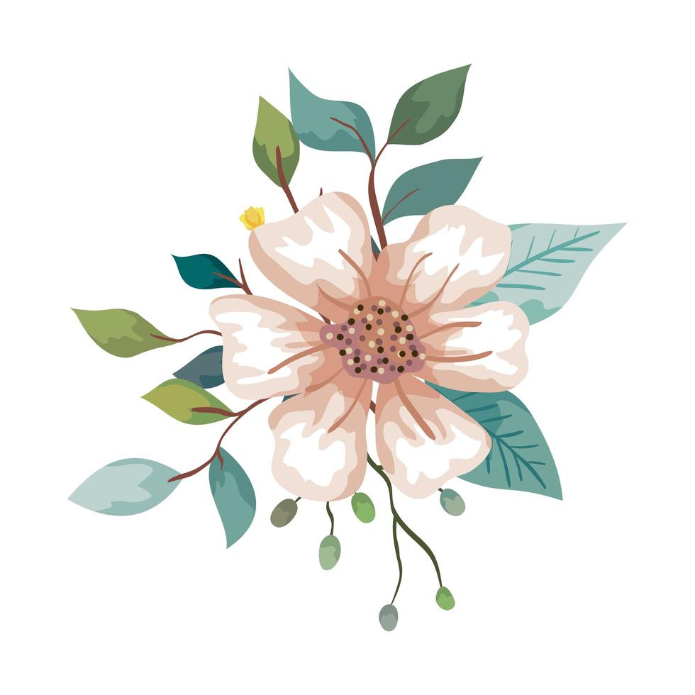 cute flower with leafs natural isolated icon vector