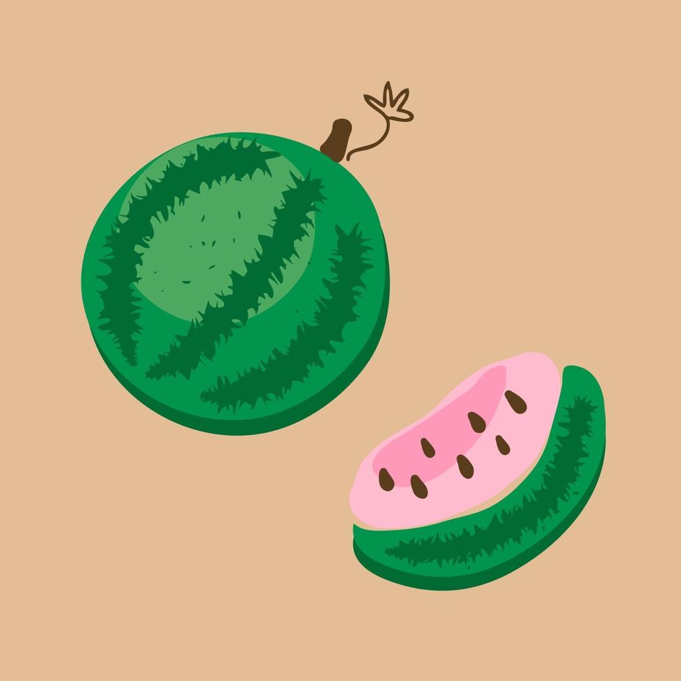 A hand-drawn watermelon and its slice vector illustration