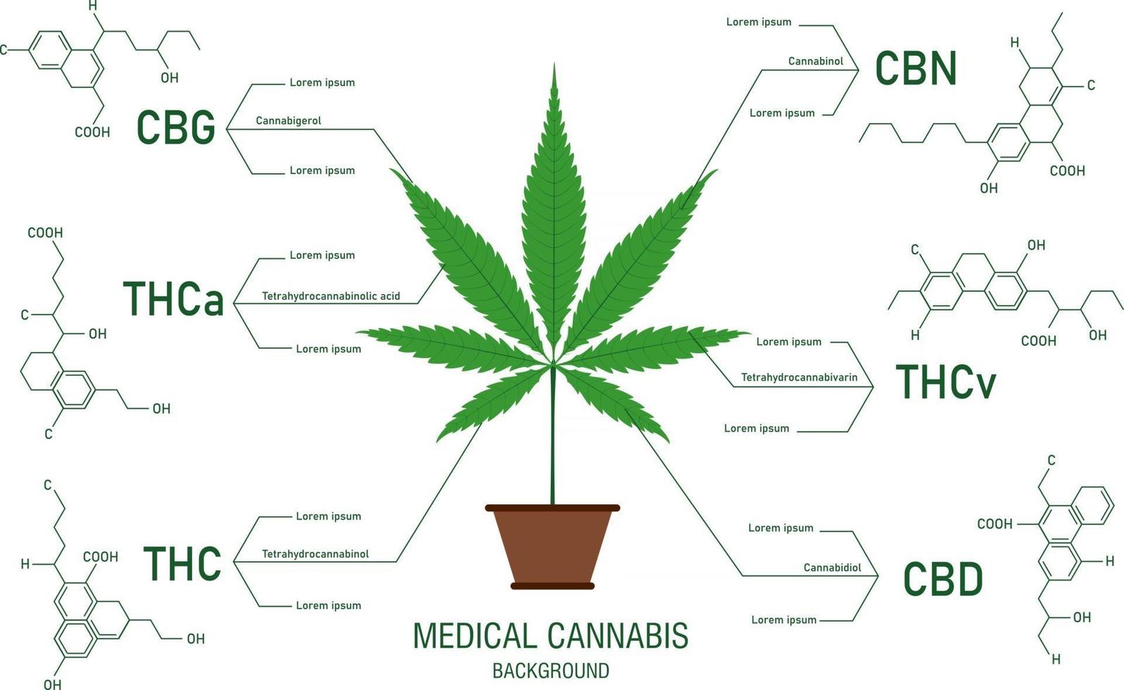 The benefits of healthy marijuana leaves cannabinoid 101 infographic vector