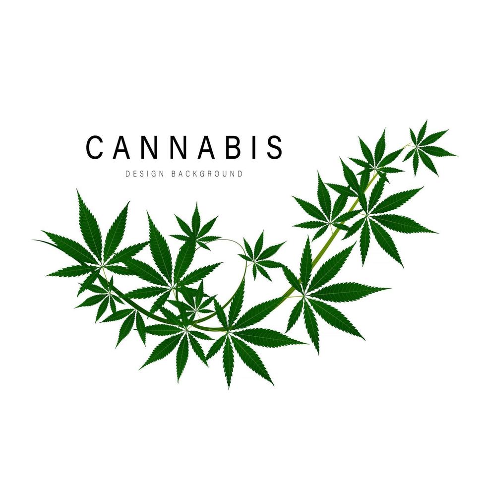 marihuana medicinal, logotipo de hoja verde de cannabis. ilustración vectorial. vector