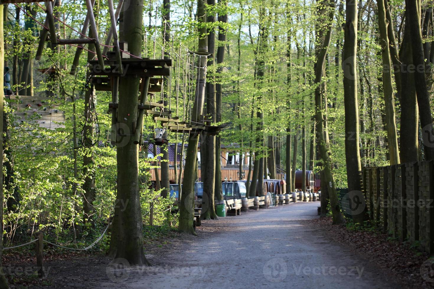 Climbing forest view photo