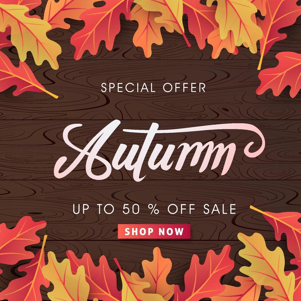 Autumn sale background layout decorate with leaves vector