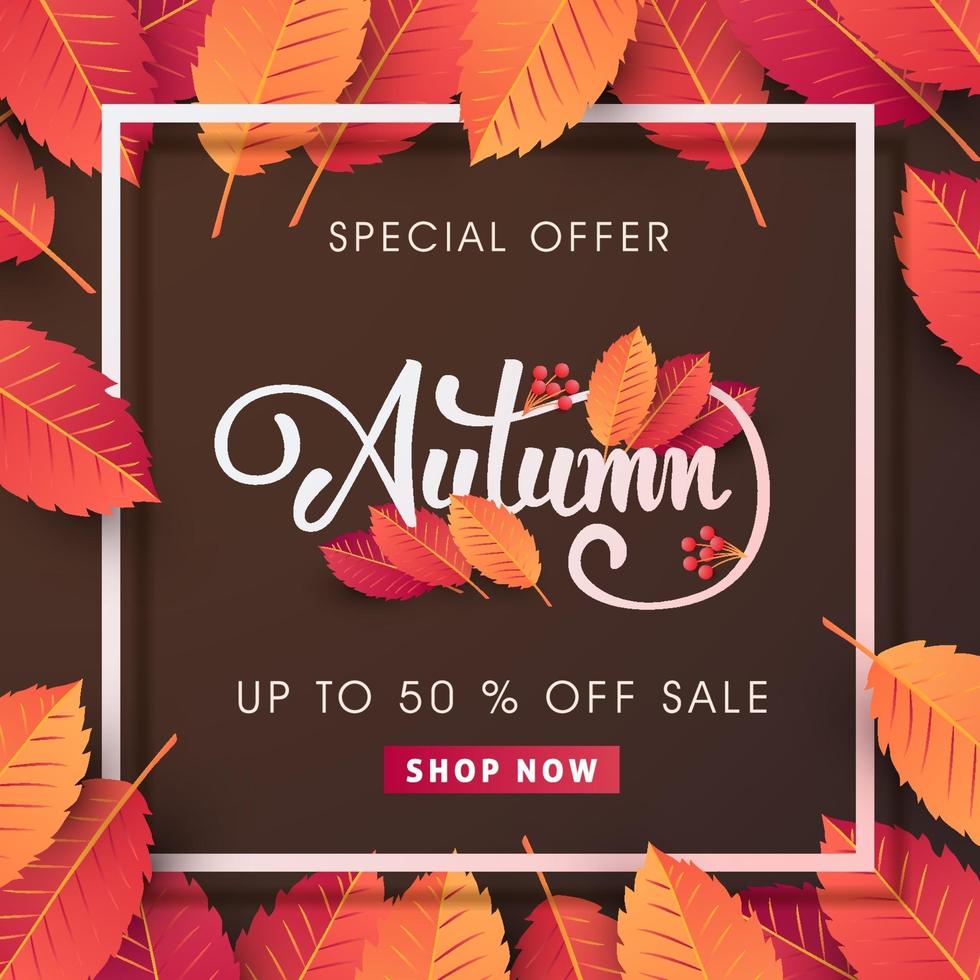 Autumn sale background layout decorate with leaves vector