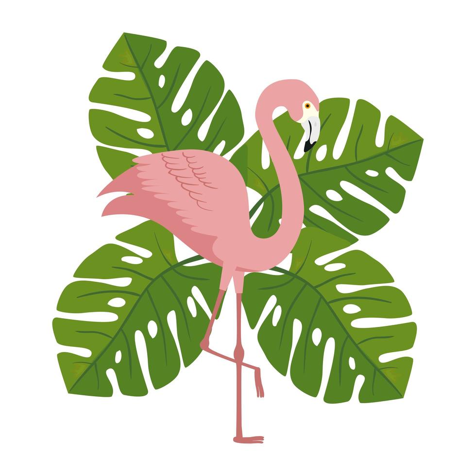 flamenco rosa animal con hojas naturaleza vector
