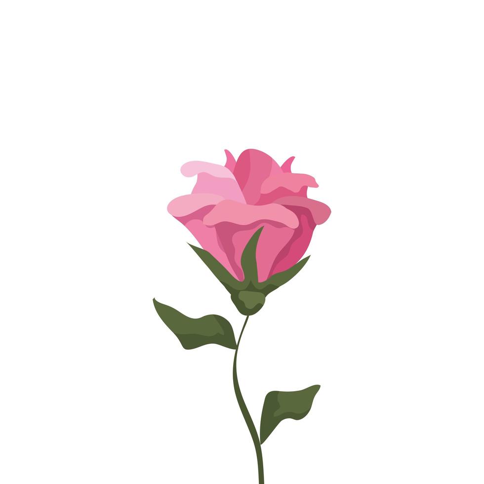 cute flower with branch and leafs isolated icon vector