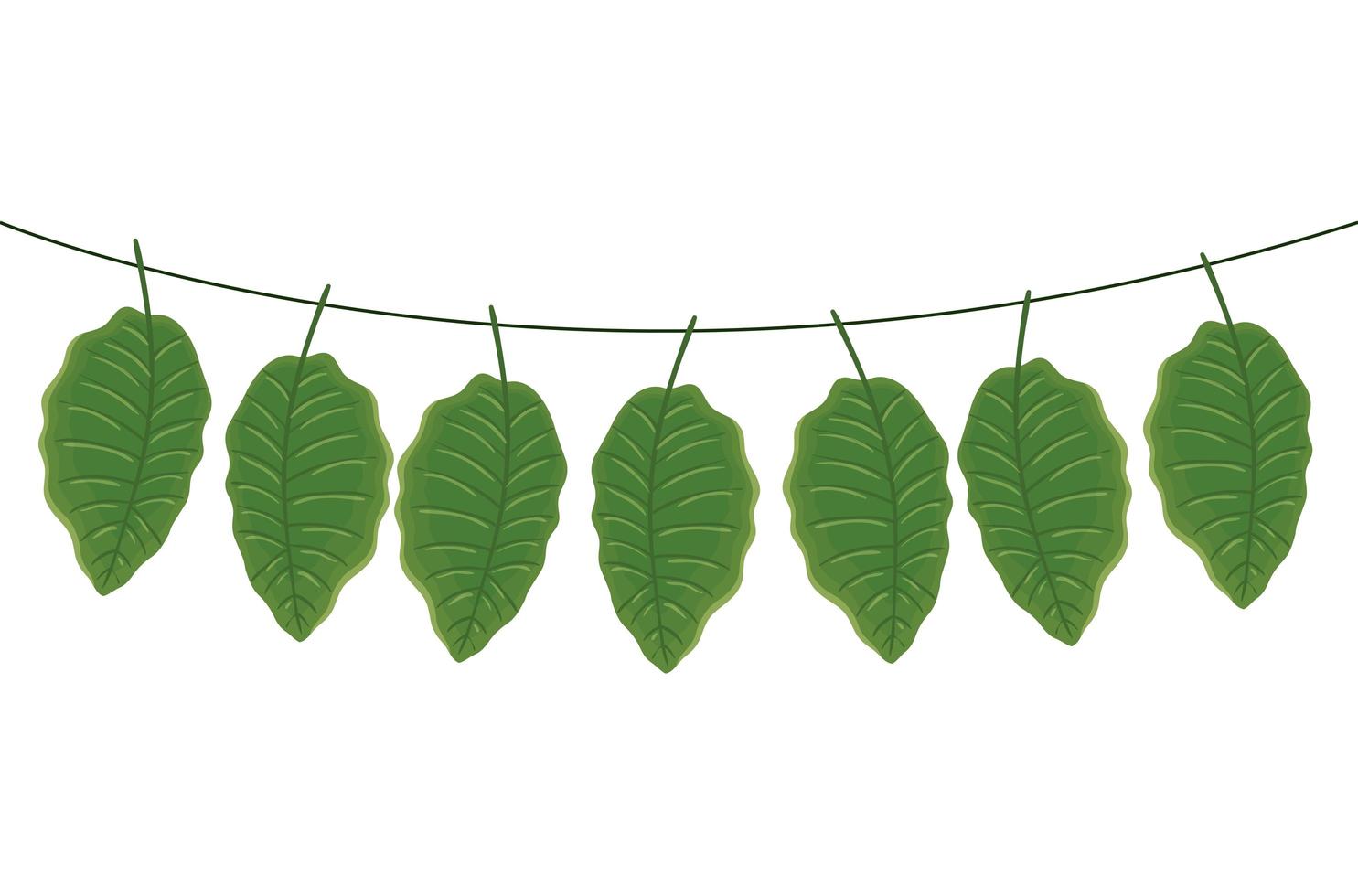 Conjunto de hojas tropicales colgando icono aislado vector