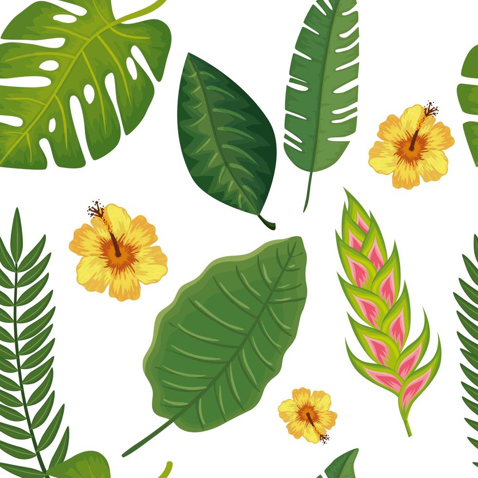 background of flower heliconia with leafs tropicals vector