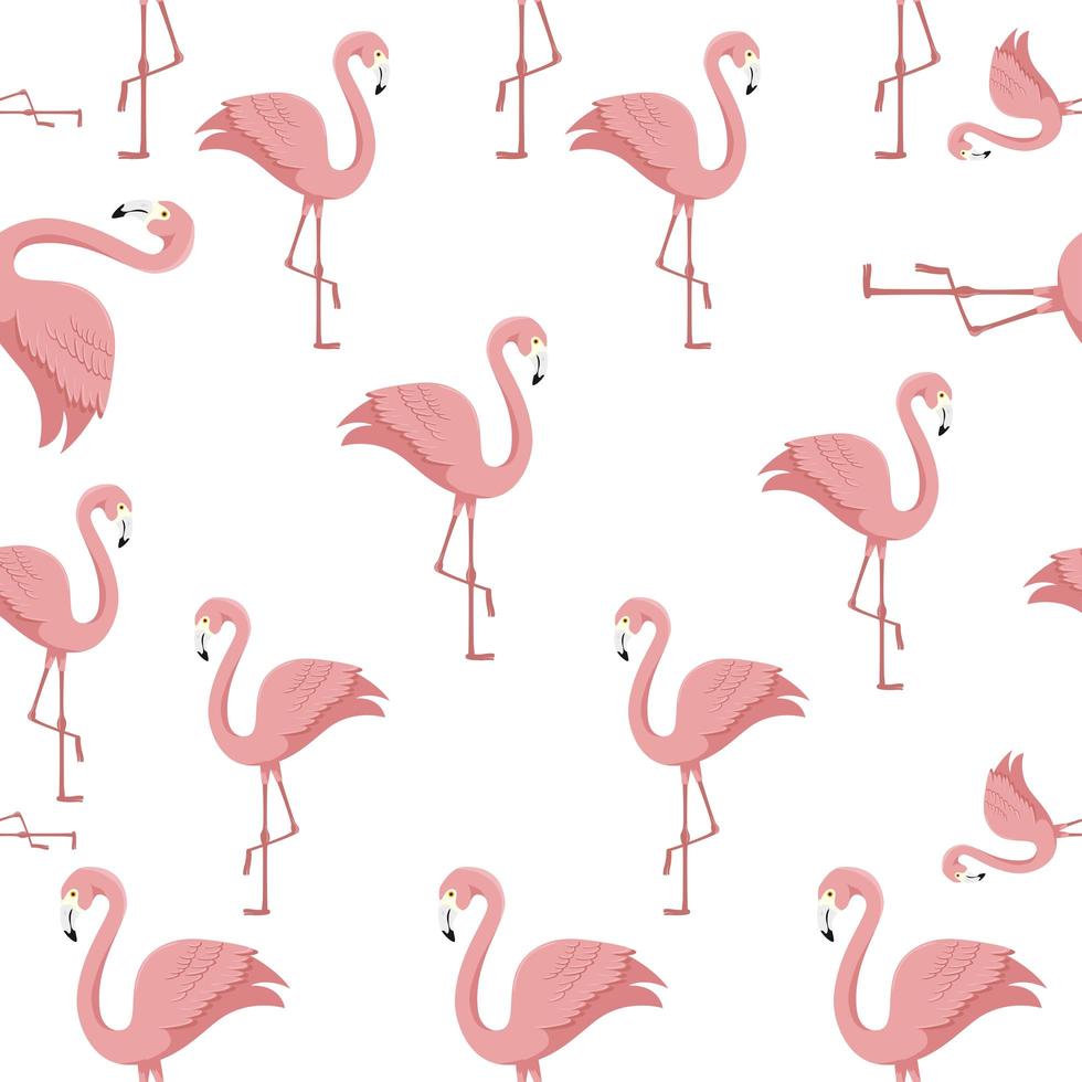 fondo de flamencos rosa animales exóticos vector