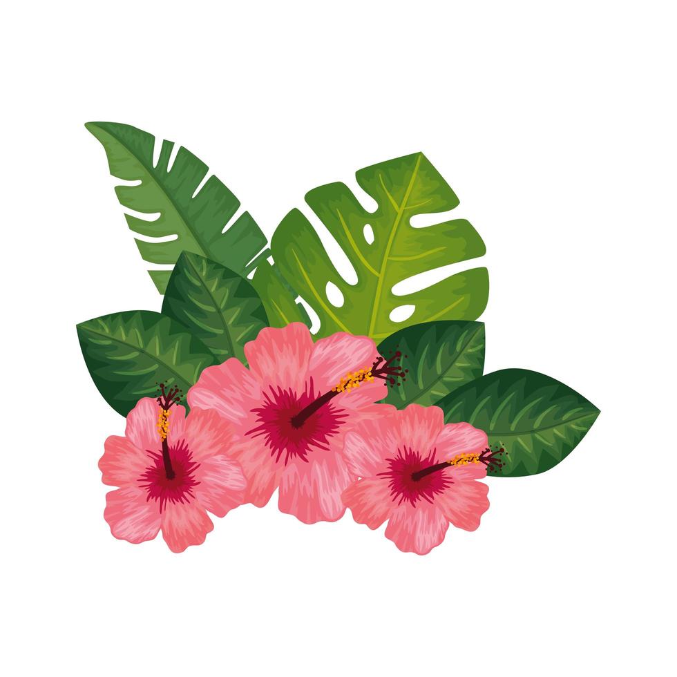 cute flowers with leafs isolated icon vector