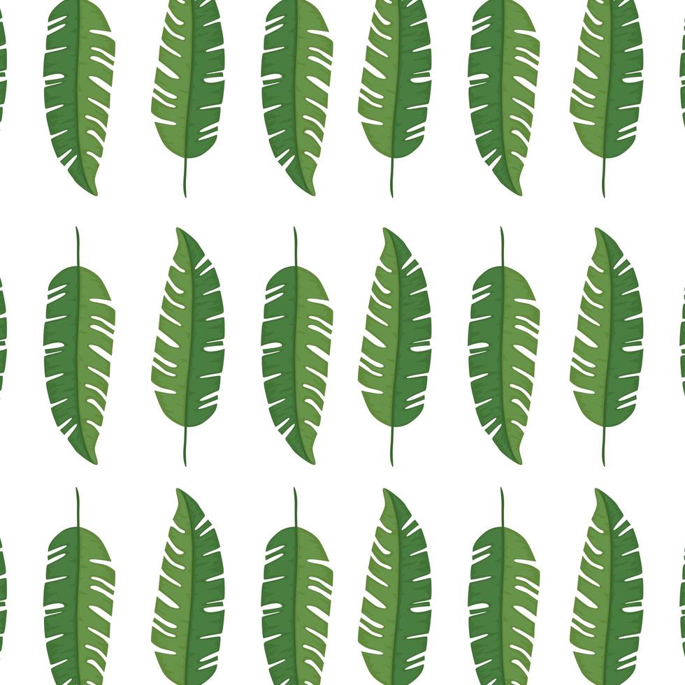background of leafs tropical natural vector