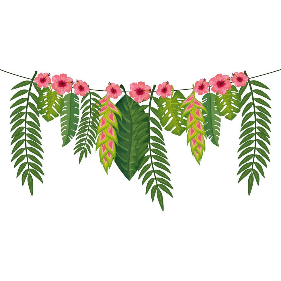 flowers heliconia with leafs hanging isolated icon vector