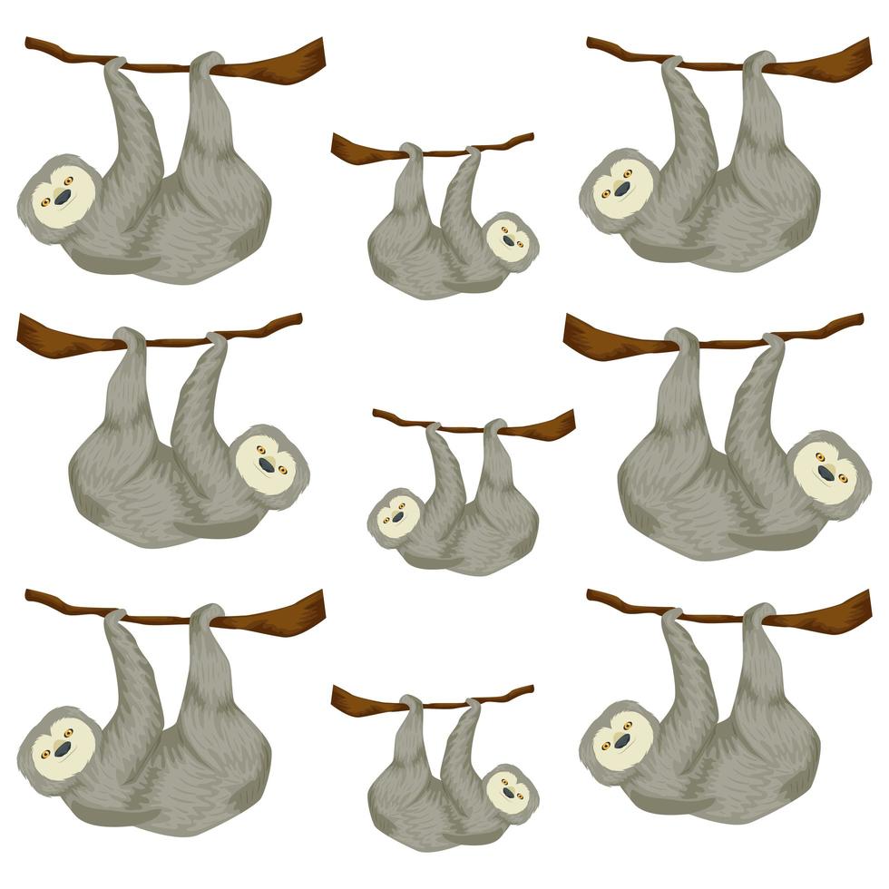 background of bears sloth animals hanging of branch vector