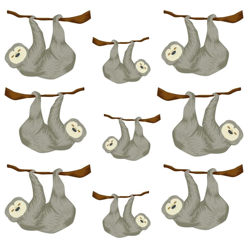 background of bears sloth animals hanging of branch vector