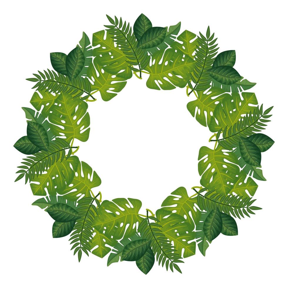 frame circular of leafs tropicals isolated icon vector