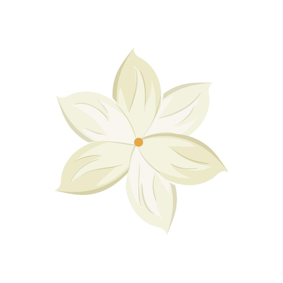 cute flower natural isolated icon vector