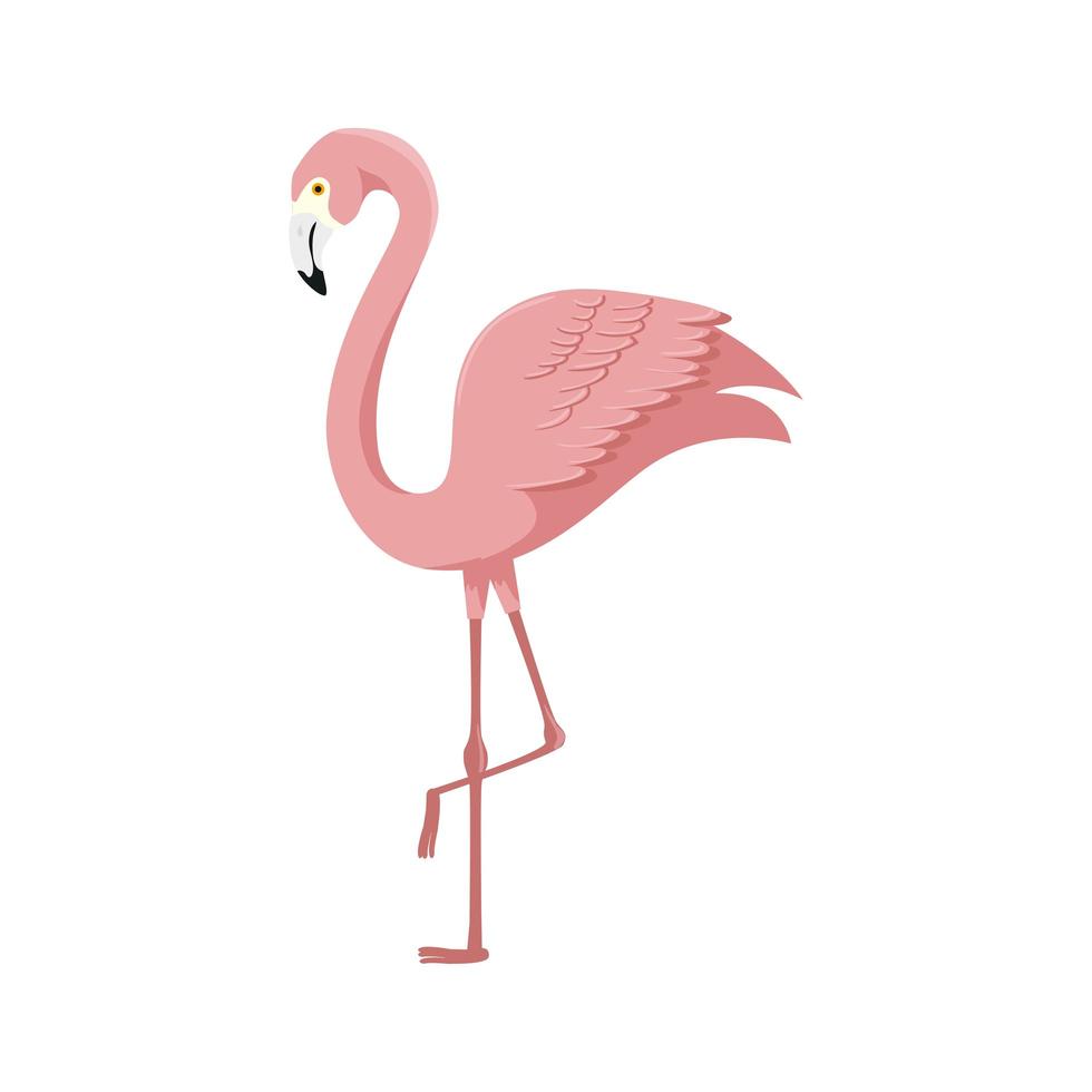 Flamingo rosa animal exótico icono aislado vector