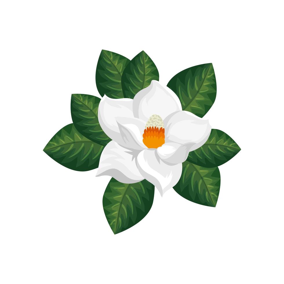 cute flower with leafs isolated icon vector
