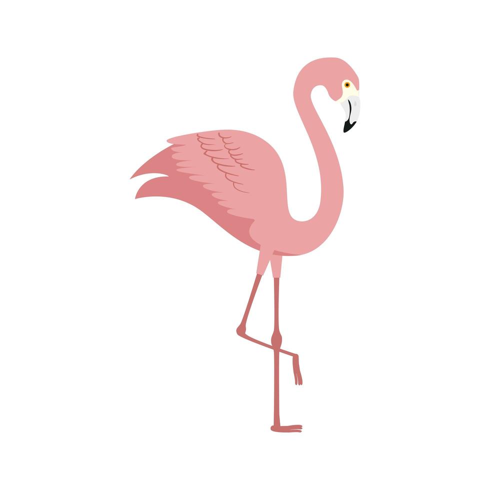 Flamingo rosa animal exótico icono aislado vector