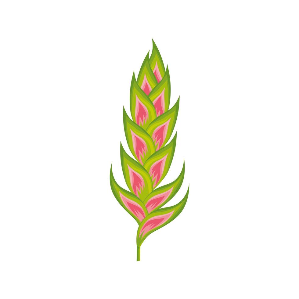 flower heliconia natural isolated icon vector