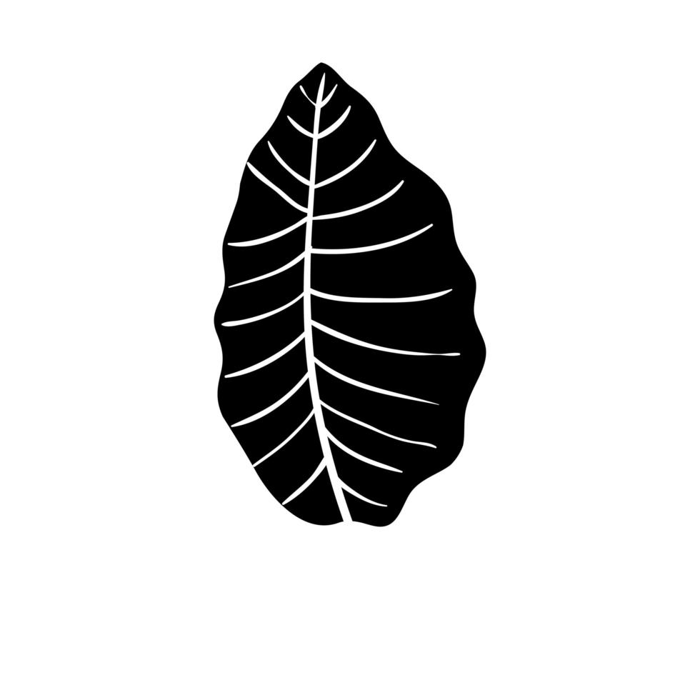 silueta, de, hoja, naturaleza, tropical, aislado, icono vector