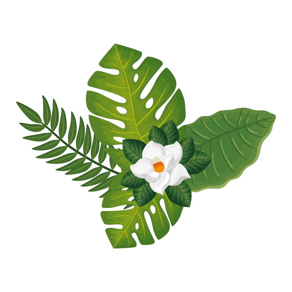 cute flower with branches and leafs isolated icon vector