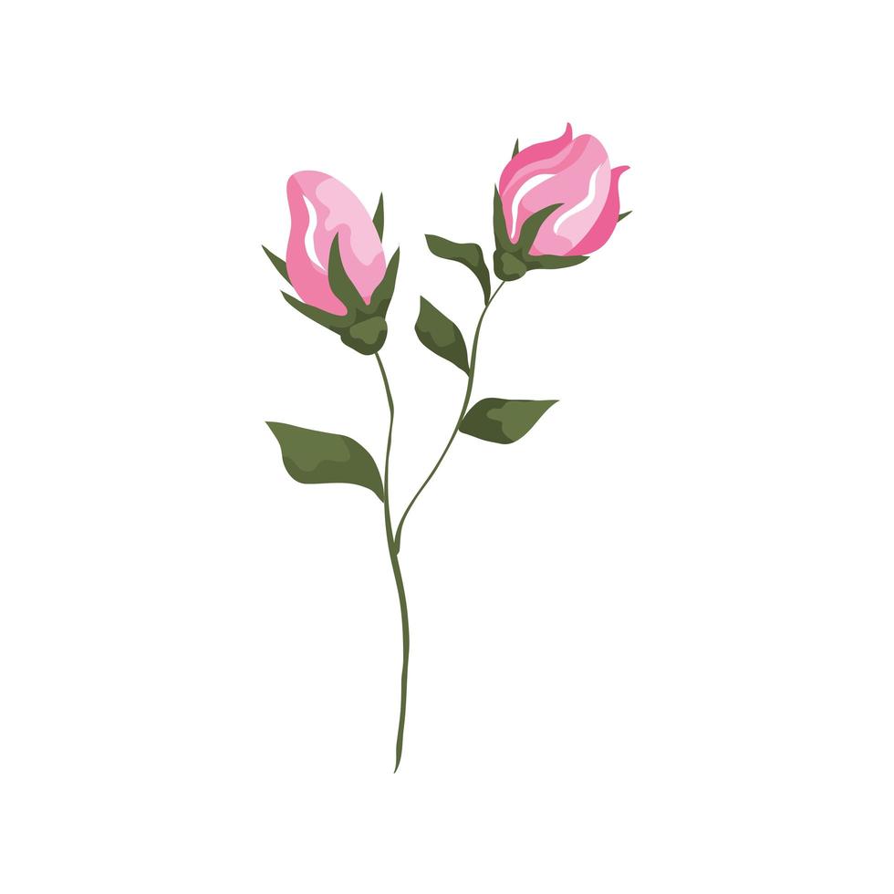 cute flowers with branches and leafs isolated icon vector