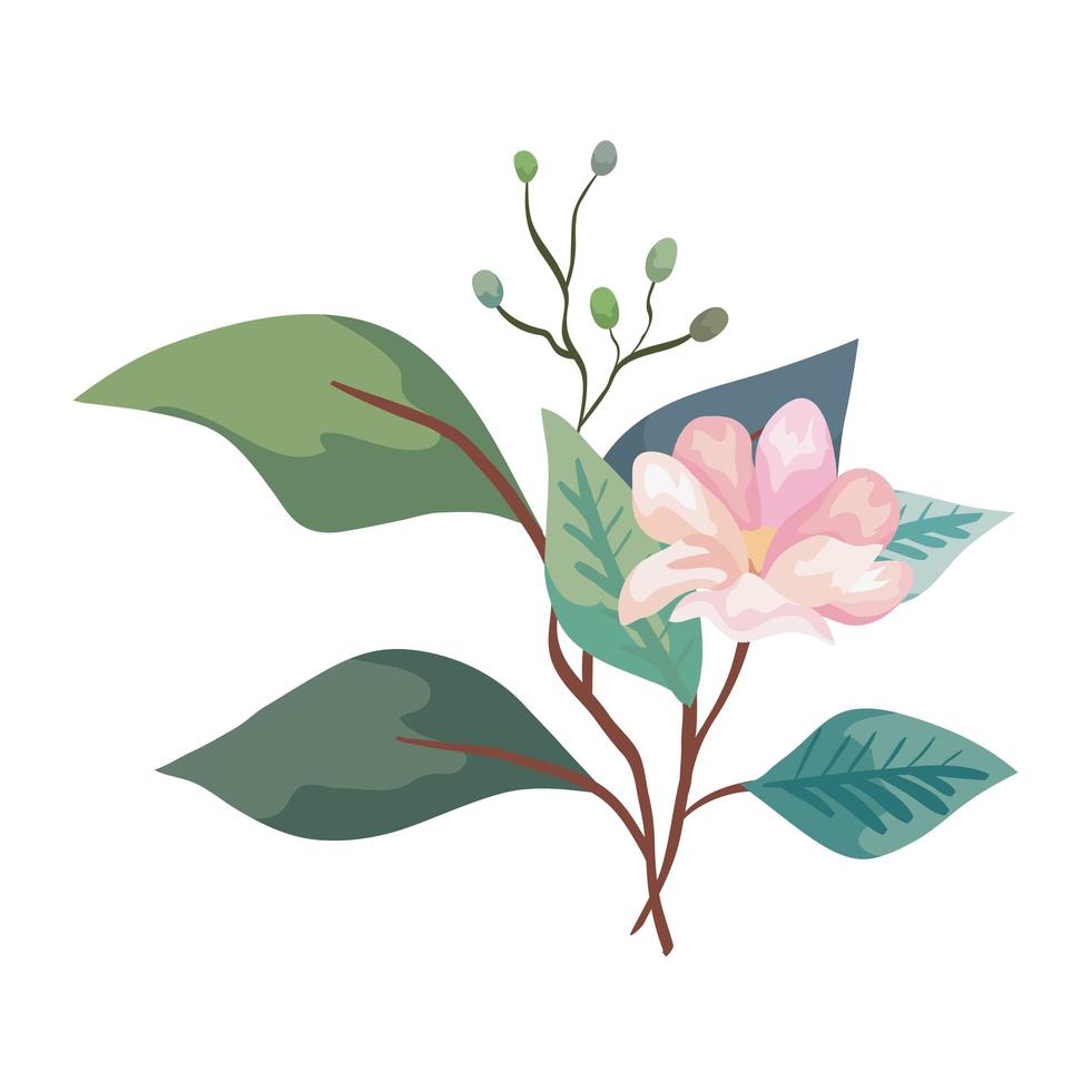 cute flower with branches and leafs natural vector