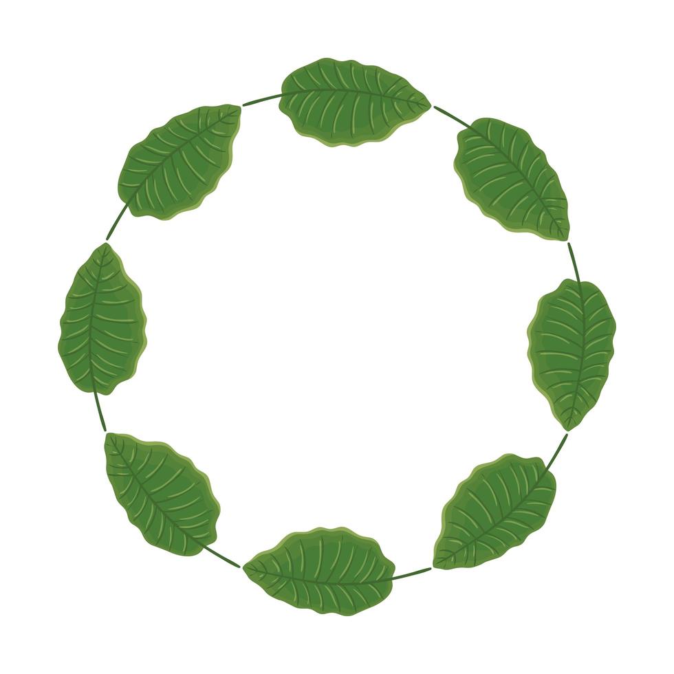 frame circular of leafs nature isolated icon vector