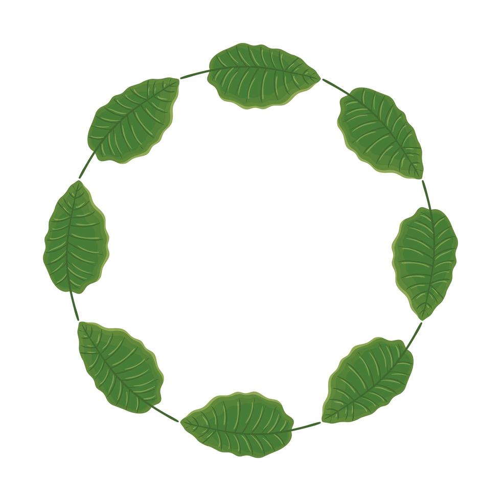 Marco circular de hojas naturaleza icono aislado vector