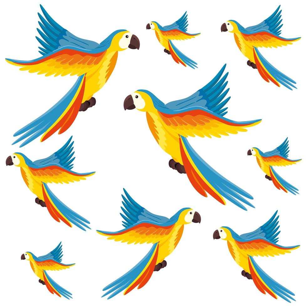 background of parrots animals exotic vector