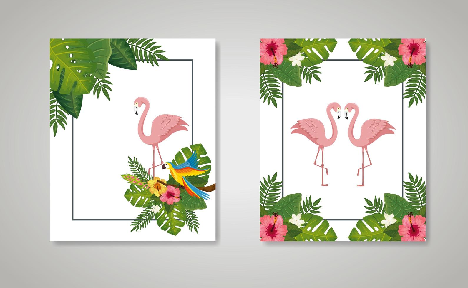 set scenes of flamingos pink animals with leafs nature vector