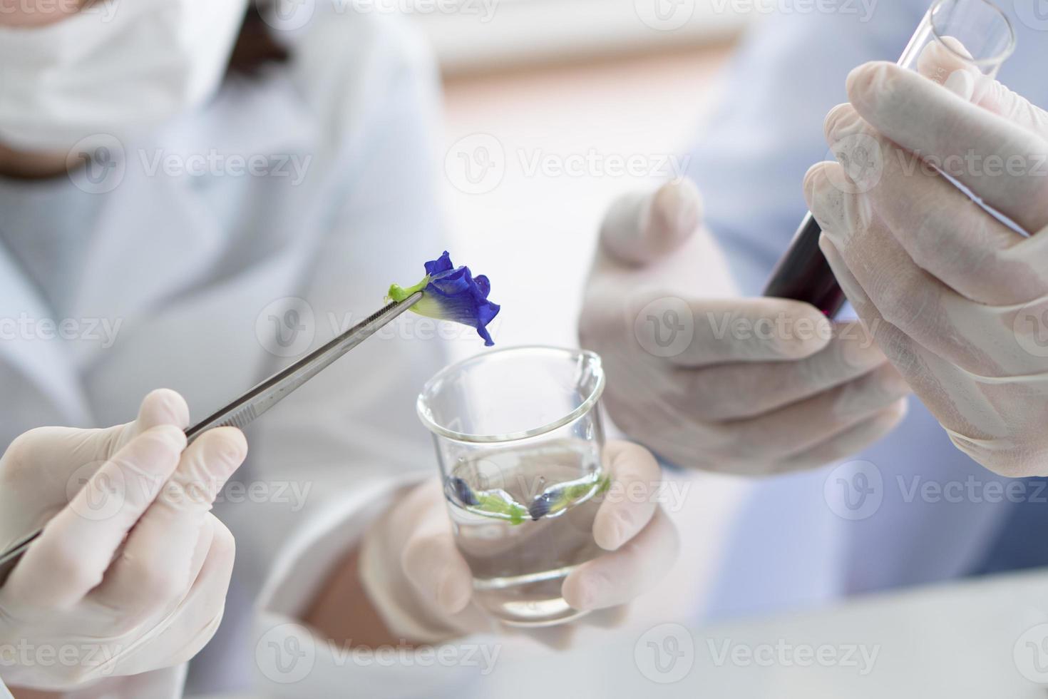 Scientists conducting an experiment on a plant photo