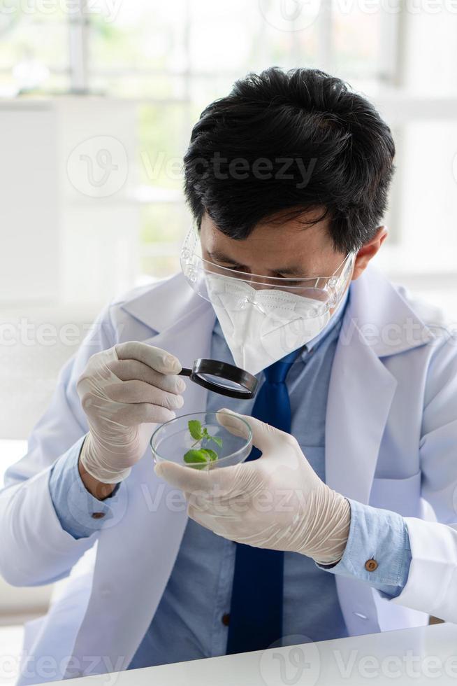 científico realizando un experimento en una planta. foto
