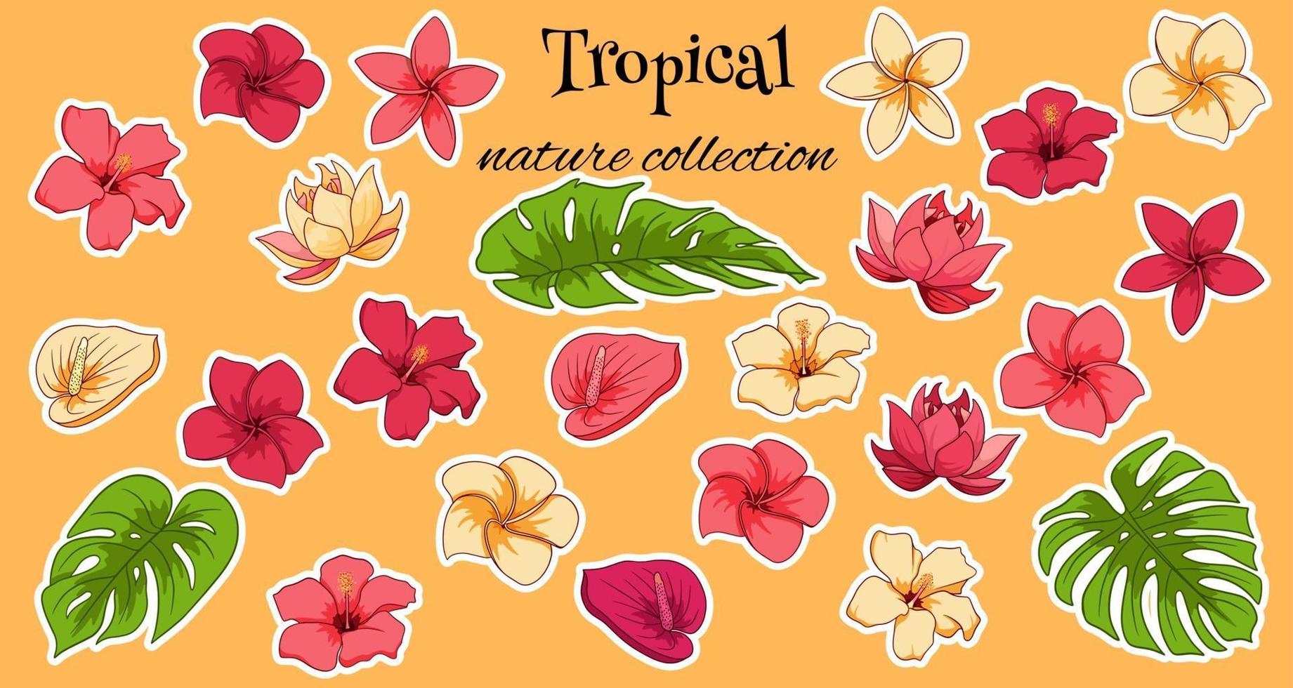 Tropical collection with exotic flowers and carved leaves vector