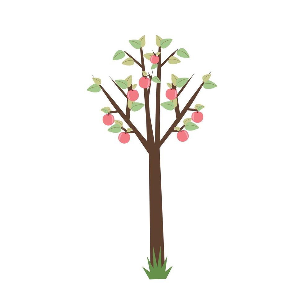 Apple tree with ripe fruits. Illustration in flat style, isolated. vector
