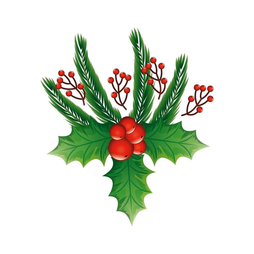 leafs with seeds decoration christmas isolated icon vector