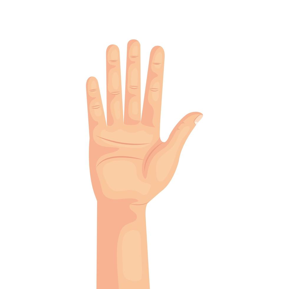 hand person human isolated icon vector