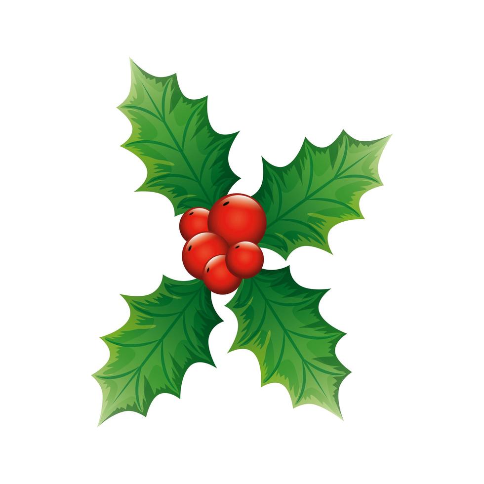 hojas con semillas decoración navidad icono aislado vector