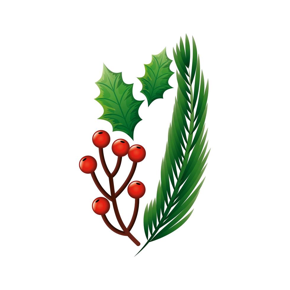 branches with holly fruits christmas and tropical leafs vector